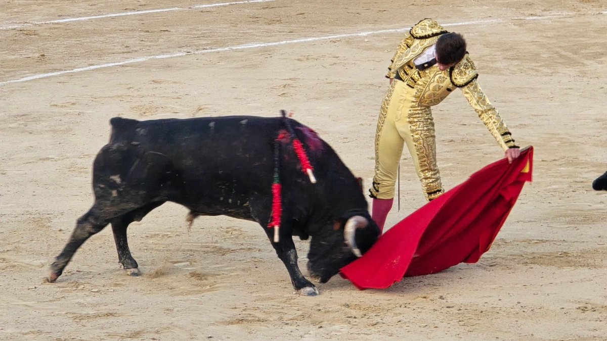 El Muletazo tweet media