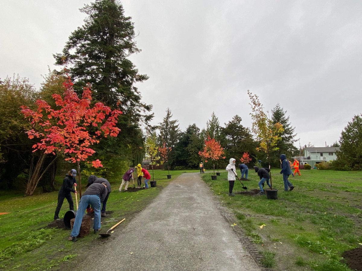 West Wind Hardwood tweet media