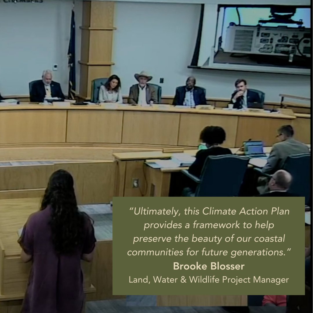 Did you hear?! Last Tuesday, September 10th, the Charleston County Council passed the long-awaited Climate Action Plan!

Now, the real work begins as the County Council will be tasked with implementing the five big ideas through policy changes.