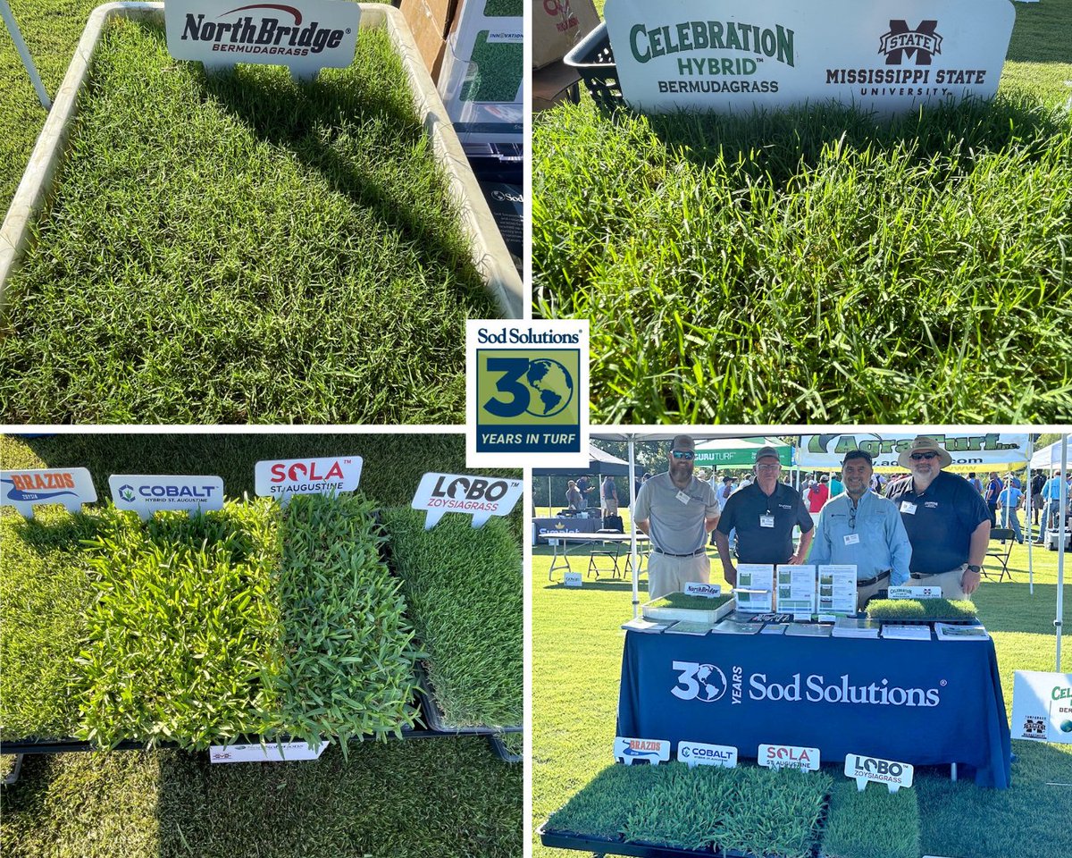 Sod Solutions (@sodsolutions) on Twitter photo It was a great day at the <a href="/MSState/">Mississippi State</a> Turfgrass Research Field Day! Two years after the release of Celebration Hybrid™, we’re excited to see ongoing research and innovation driving the turfgrass industry forward. #CelebrationHybrid It was a great day at the <a href="/MSState/">Mississippi State</a> Turfgrass Research Field Day! Two years after the release of Celebration Hybrid™, we’re excited to see ongoing research and innovation driving the turfgrass industry forward. #CelebrationHybrid