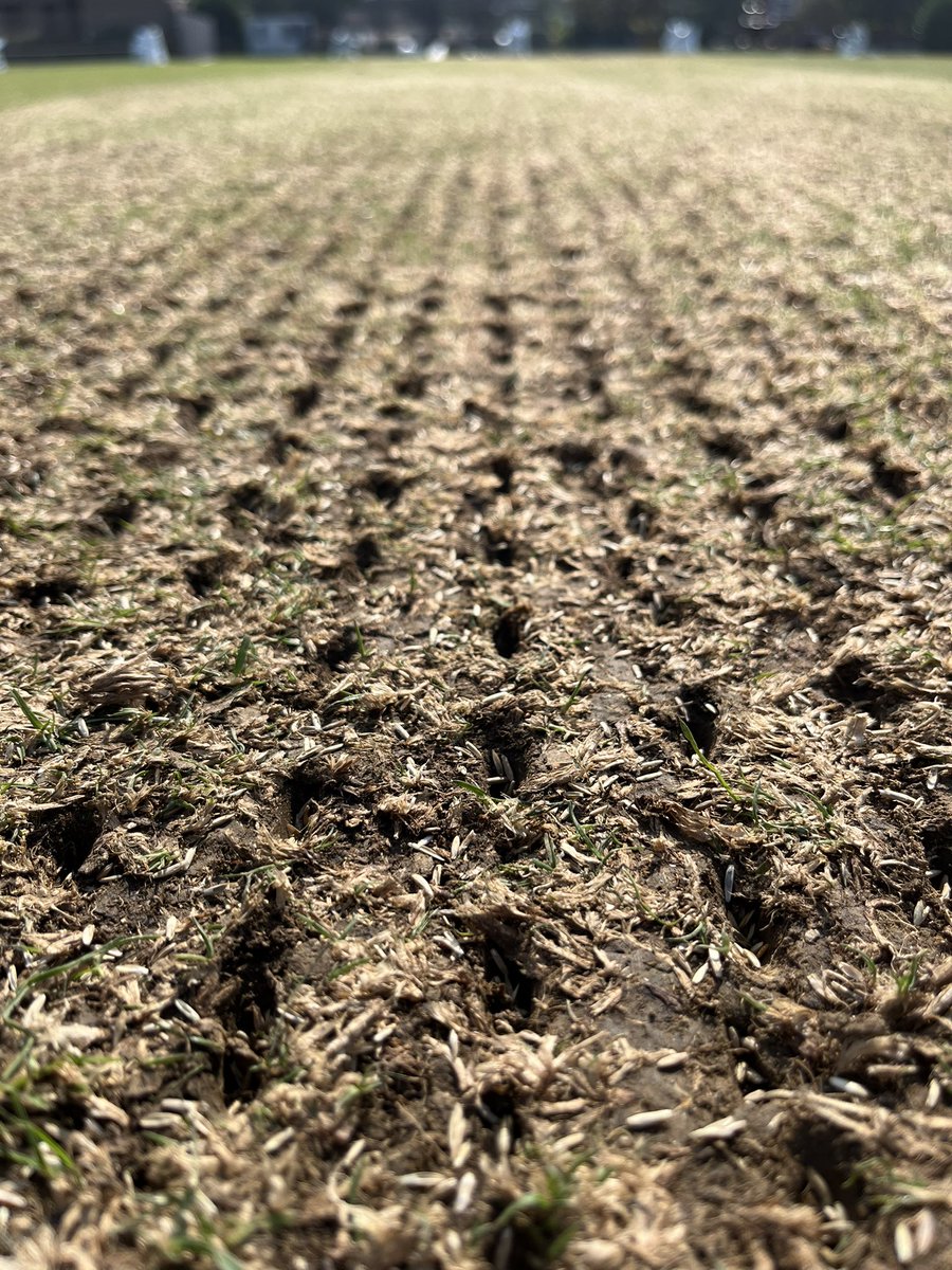 ECCgrounds's tweet photo. Square Renovations 2024 ✅ @TSGSLTD @CampeyTurfCare @MM_Seed @AgrovistaAMNTY @Pitchcare @BinderLoams https://t.co/56wC7nxQSd