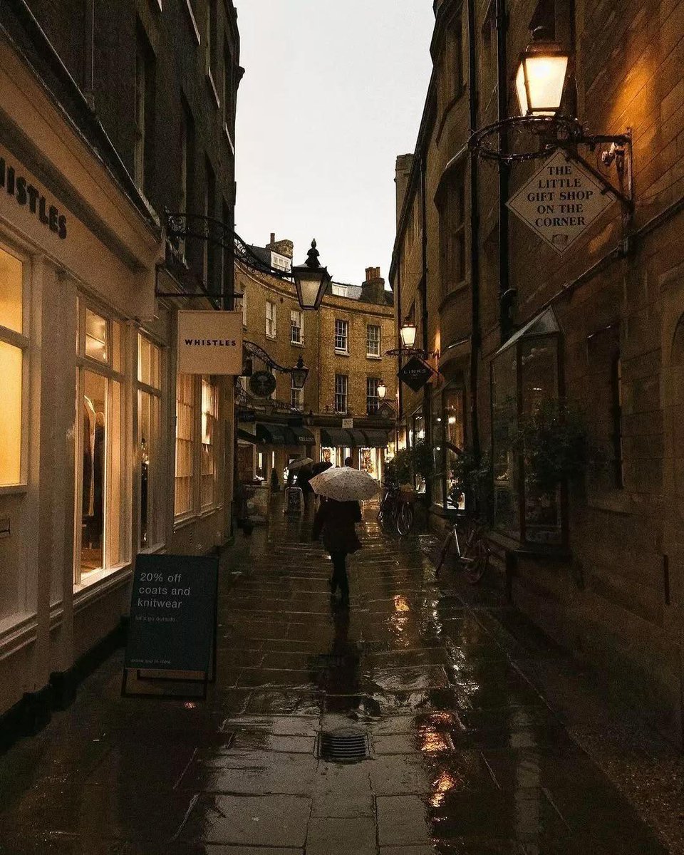 talya9646171863's tweet photo. autumn in england 🌫️🍂 https://t.co/5NxrbqSjys