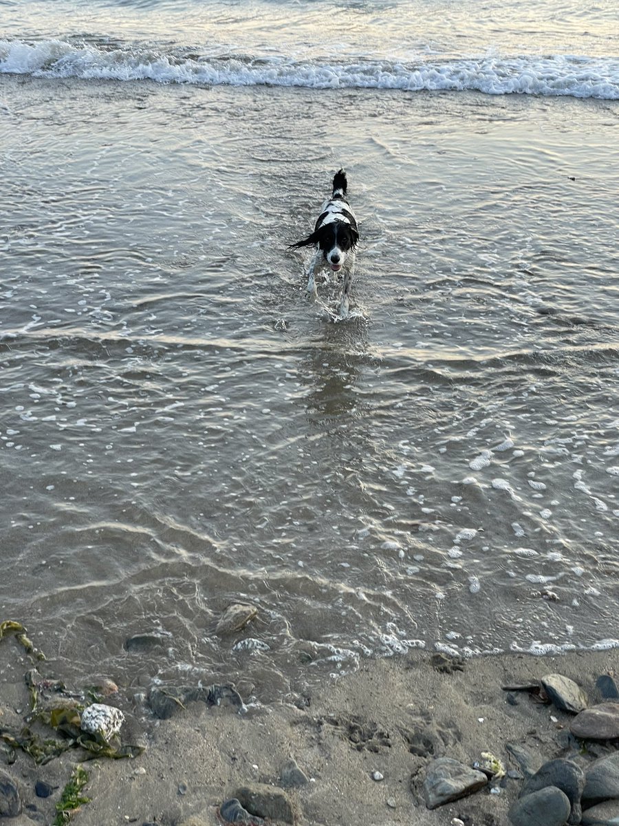 Albertspanners Dad tweet media