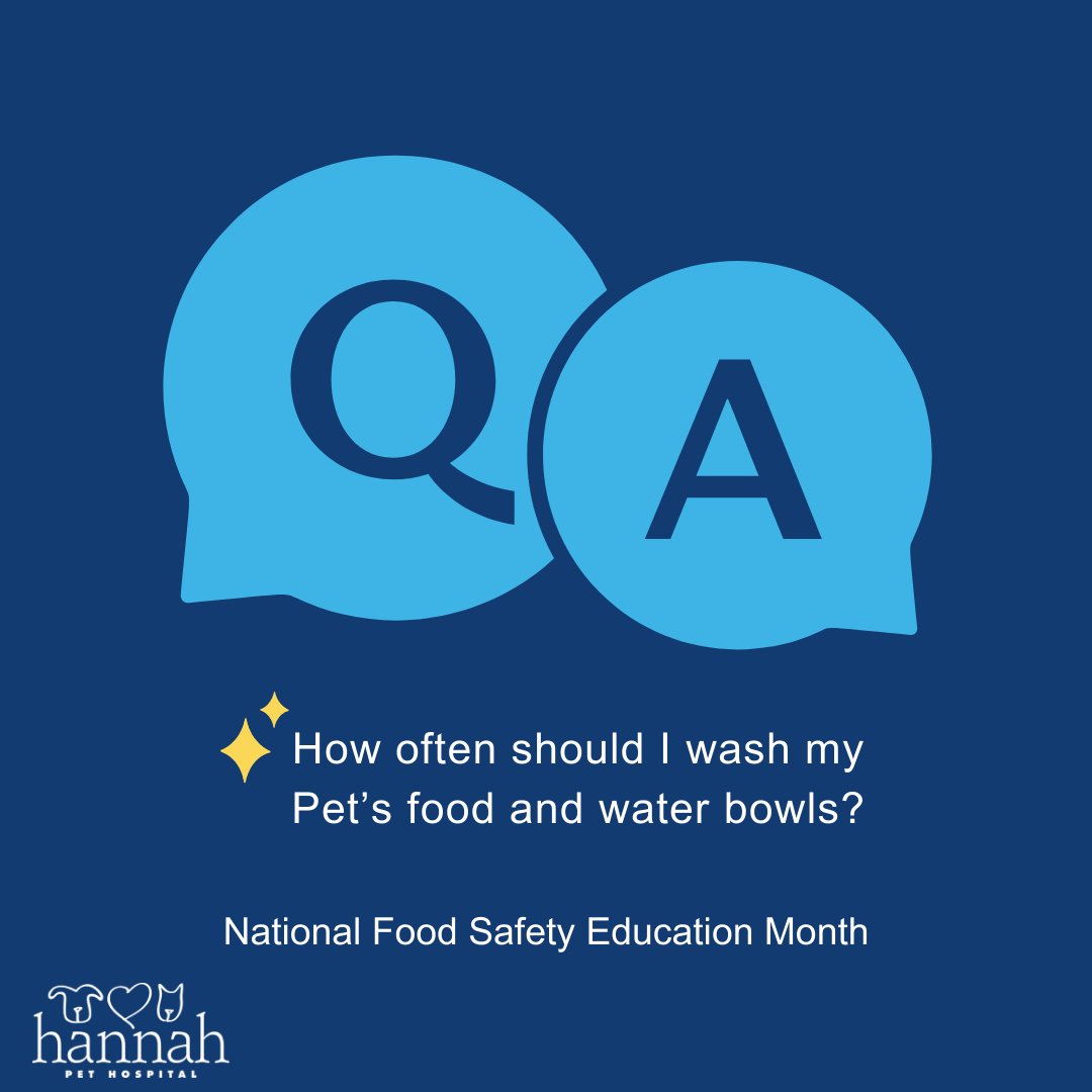 HannahSociety's tweet photo. Daily washing of your Pet's bowls is essential. It supports hygiene, food safety, and a pleasant mealtime for your Pet, ensuring a clean and safe feeding environment that promotes their health, well-being, and enjoyment. 🐾🦴 #FoodSafetyEducation https://t.co/1aGoLbD2QE