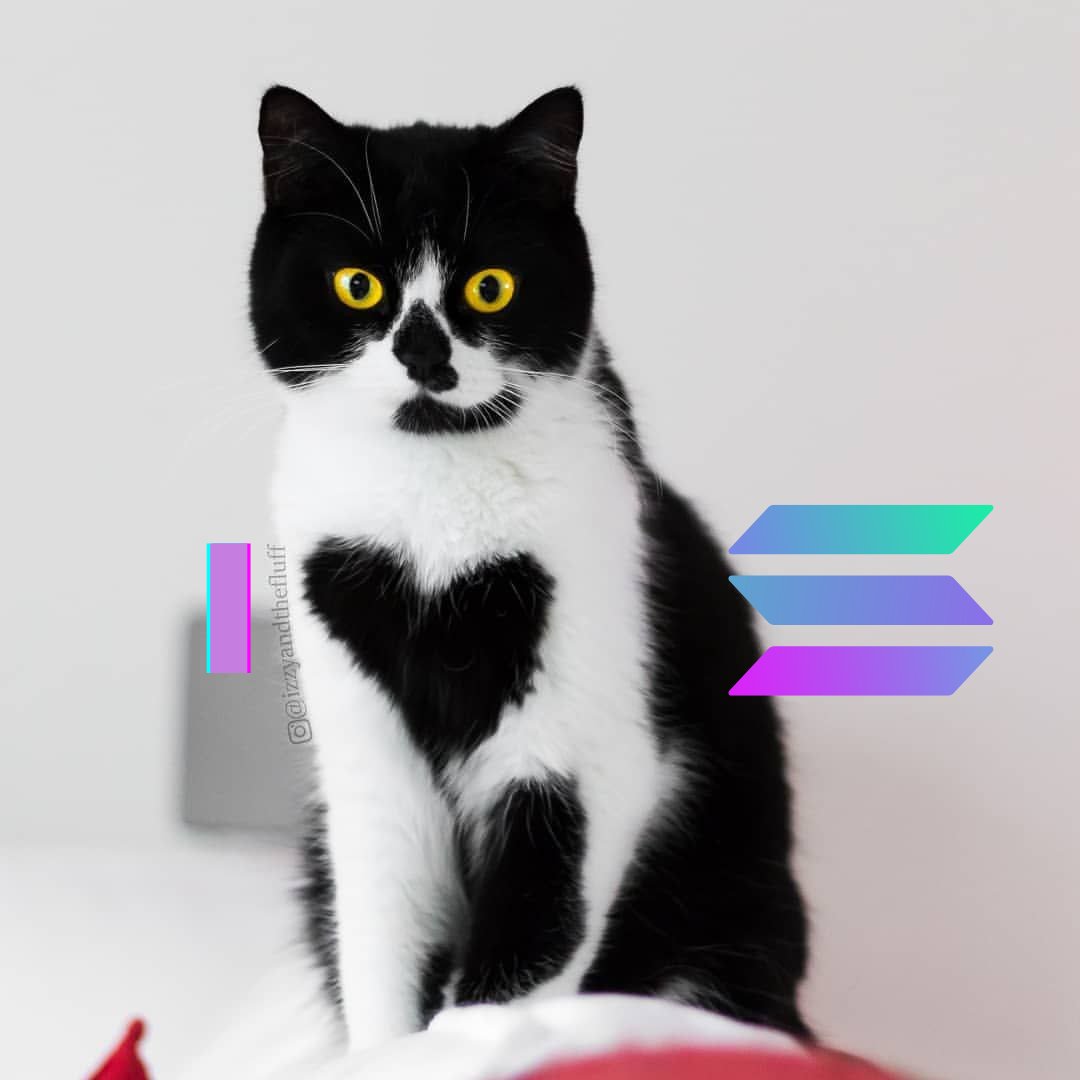 I $HEART $SOL and there is no other way to put it!

Make #Solana #memes great again!