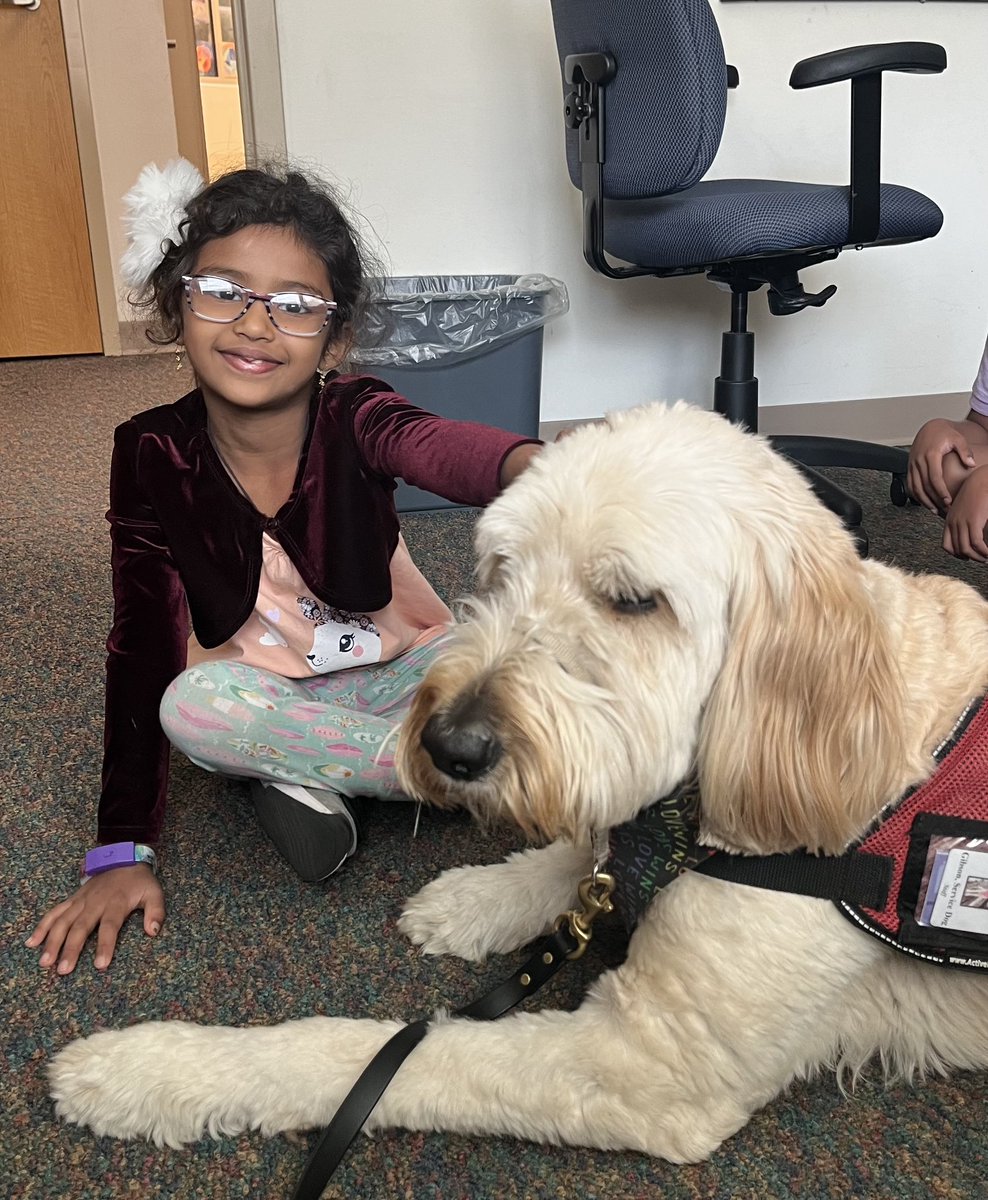 💖🐾🐶💖#gibson #shinelikesable #MASONmoment #4PawsforAbility <a href="/SarahBowser4/">Sarah Bowser</a> <a href="/MrsBly_MECC/">Melissa Bly</a> <a href="/MasonSchools/">Mason City Schools</a>