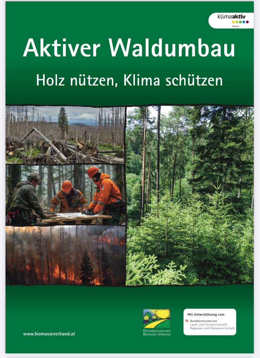 Der Beitrag des Waldes zum Klimaschutz heißt nachhaltige Rohstoffe und Energieholz! Kohlenstoff-Vorratsaufbau im Wald ist eine gefährliche Illusion, wir brauchen aktiven Waldumbau: biomasseverband.at/wp-content/upl…