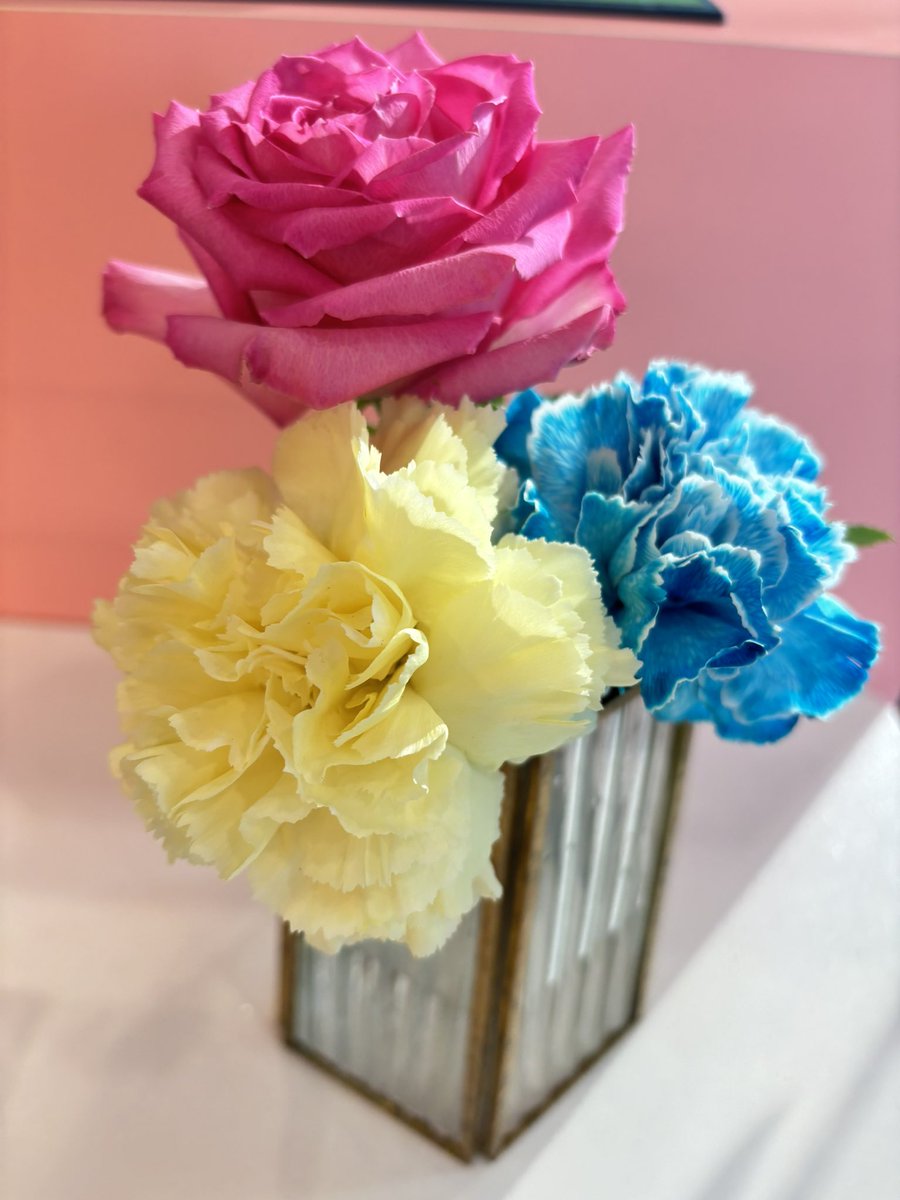 clear_riari's tweet photo. みんなからもらったお花
綺麗すぎて、ずっと咲いててほしかった https://t.co/MWhTsygtzc