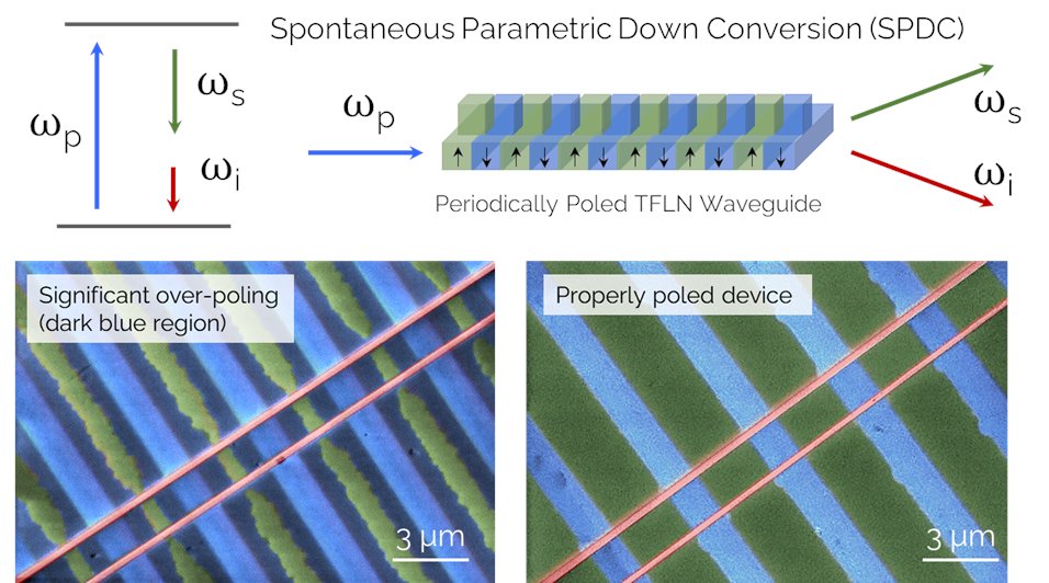 QciQuantum's tweet image. Exciting developments are underway with periodically poled lithium niobate (#PPLN)!🎉

QCi's ongoing process development work for creating PPLN devices involves intricate testing, as seen below in the two SEM images of two different devices fabricated on the same wafer.