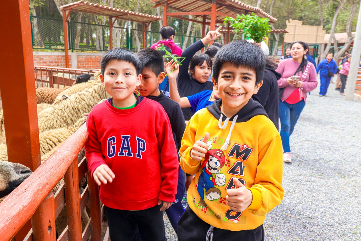 limaserpar's tweet photo. ¡Se acerca el #finde y los peques lo saben! 😎🙌 Ven a disfrutar de un día al aire libre en los clubes y parques metropolitanos. 🌳⚽Juegos, deportes y pura diversión en familia.

#mml #lima #clubesmetropolitanos #parquesdelima https://t.co/w3ZFr6hFTy