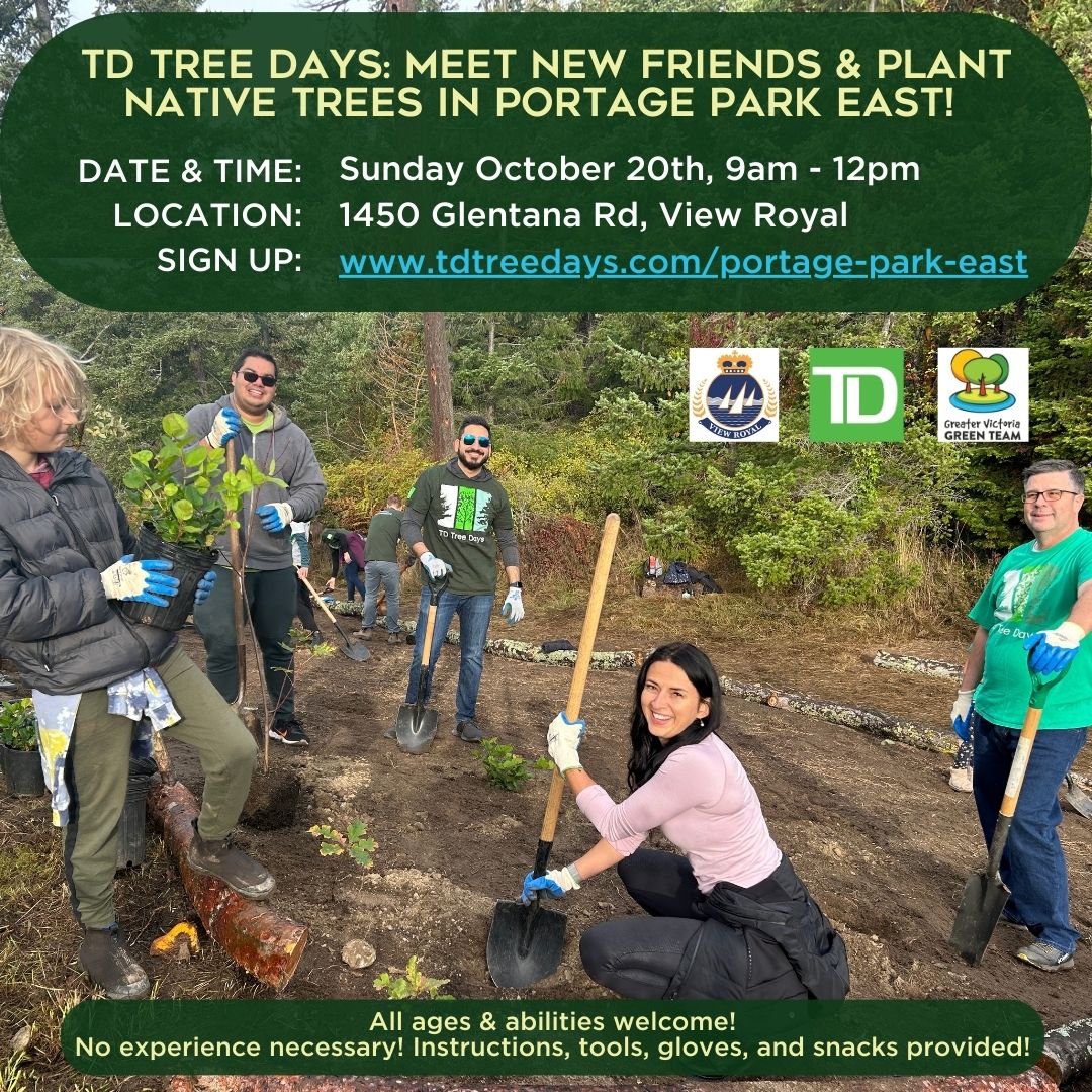 GVGreenTeam's tweet image. TD Tree Days Announcement! 
We are hosting a #TDTreeDays event this year with @TownofViewRoyal in Portage Park East on Sunday Oct. 20th from 9am-12pm! Everyone is welcome to join us to plant native trees &amp;amp; shrubs! 
Details &amp;amp; Sign up: tdtreedays.com/en-ca/portage-…