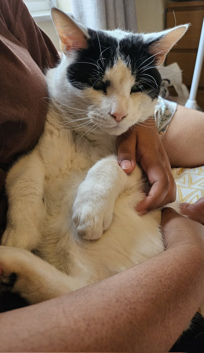 He's such a state (affectionate)