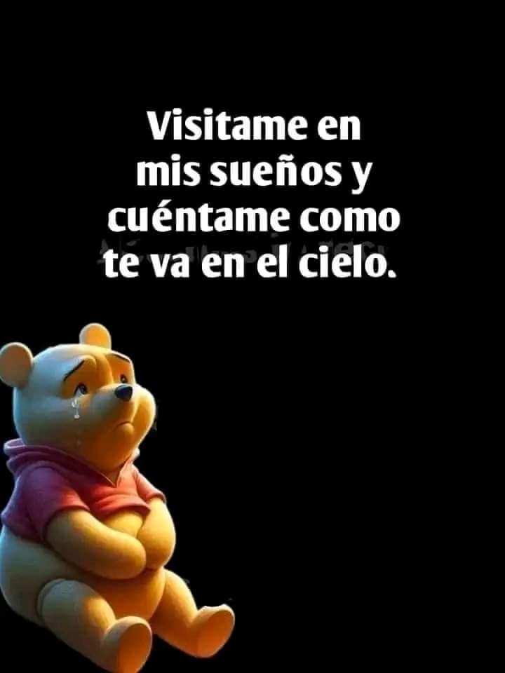 Lloré 
Nuestros familiares nunca se van están con nosotros en nuestros sueños 
Y mientras los recordemos estarán juntos de nosotros siempre !!!