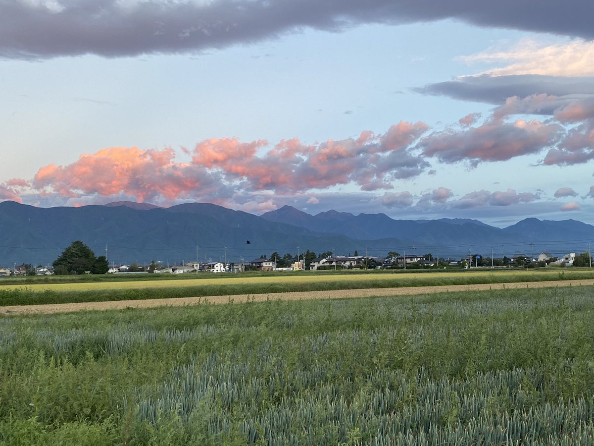 MountButaModern's tweet photo. 朝ジョグなう！
朝焼けが美しい☀️
土日は雨だが、本日は登山日和の美ヶ原 &amp; 常念岳 https://t.co/SqsvJKHseP