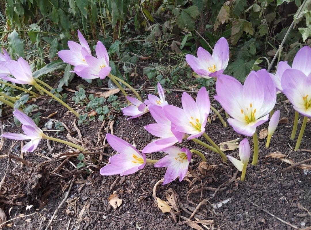 It looks like spring already 🌷