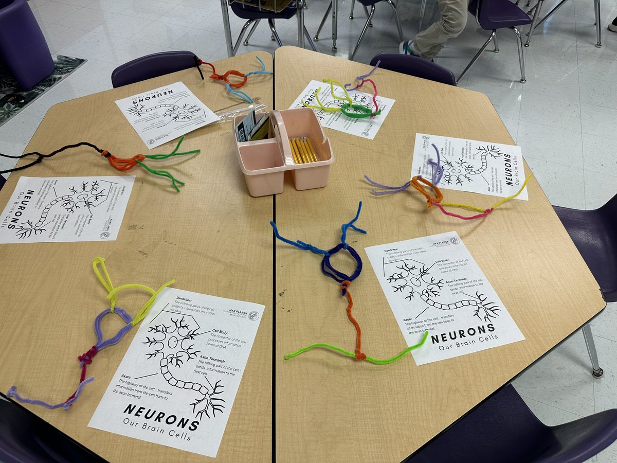 EdTechLex's tweet image. Today our Kindergarten students took part in a on-site field trip! Thank you @MPFNeuro for bringing the “Ask Max” neuroscience experience to our campus. Boy oh boy, are our scientist ready to rock! @PleasantCityES @mariabishop4 @KHolleyEdS