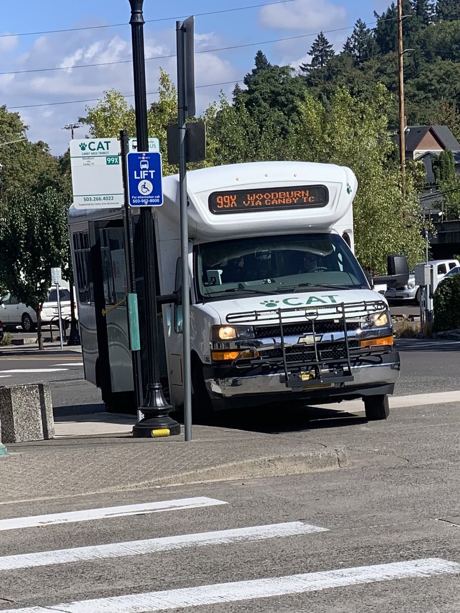 willow! 🍃 tweet media