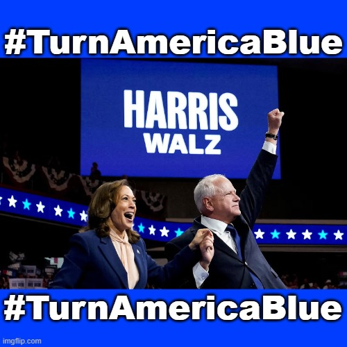 #TurnAmericaBlue, 2024 and beyond.