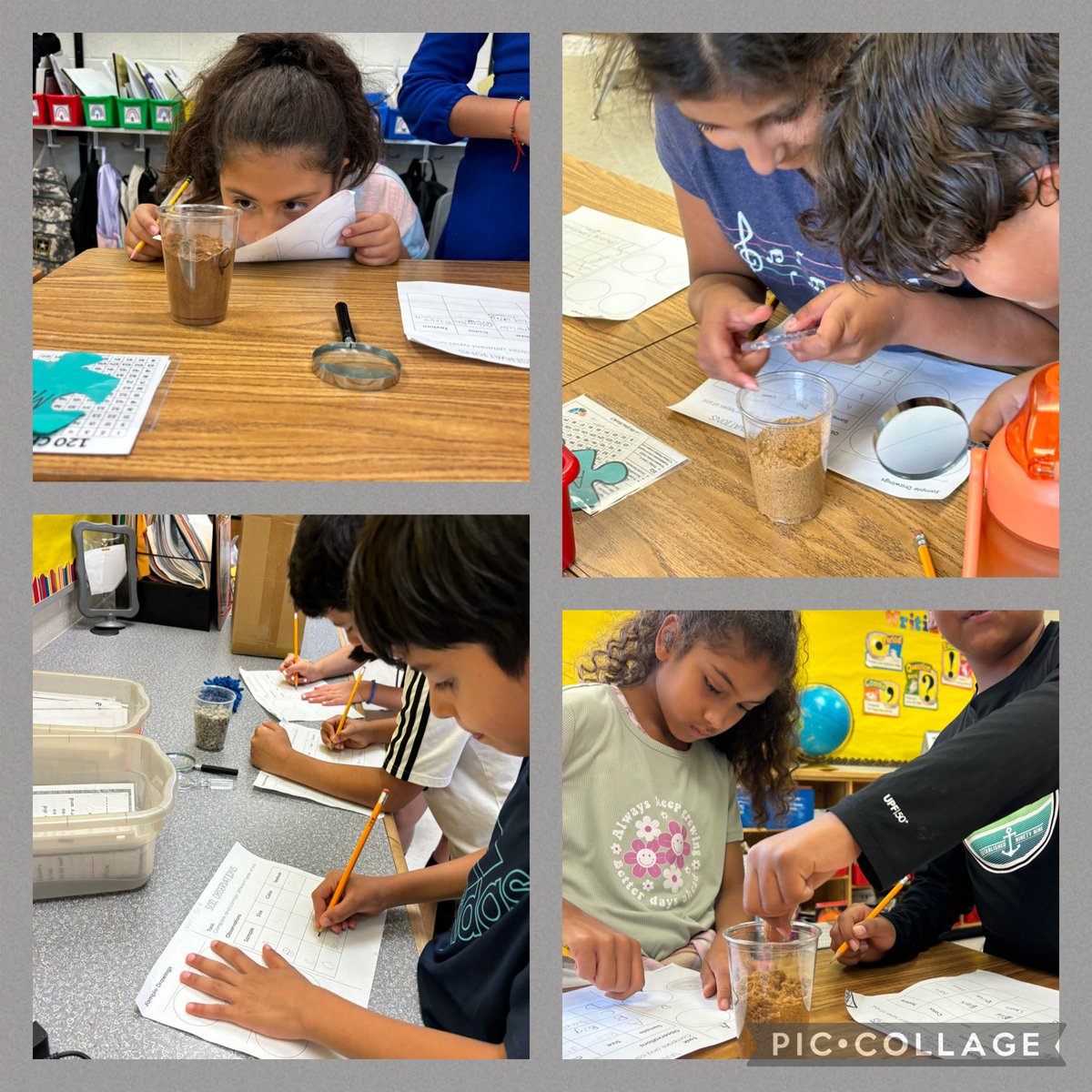 4th grade students exploring and comparing the properties of soil found in Virginia. Using our senses, we examined size, color and texture. Thank you to our community partners Complete Landscaping and Virginia Ground Covers for making this happen! <a href="/ForestGroveES/">Forest Grove ES</a>