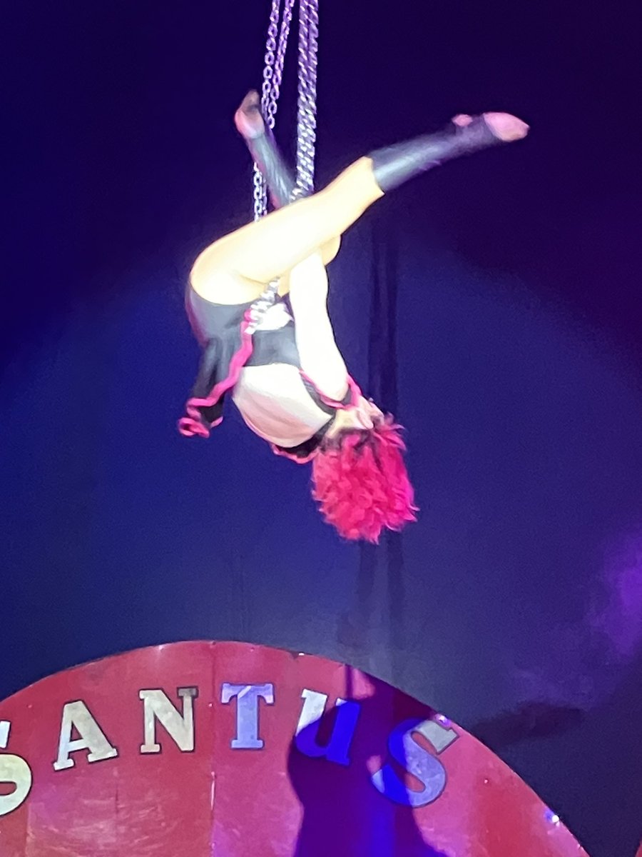 SantusCircusFanpage tweet media