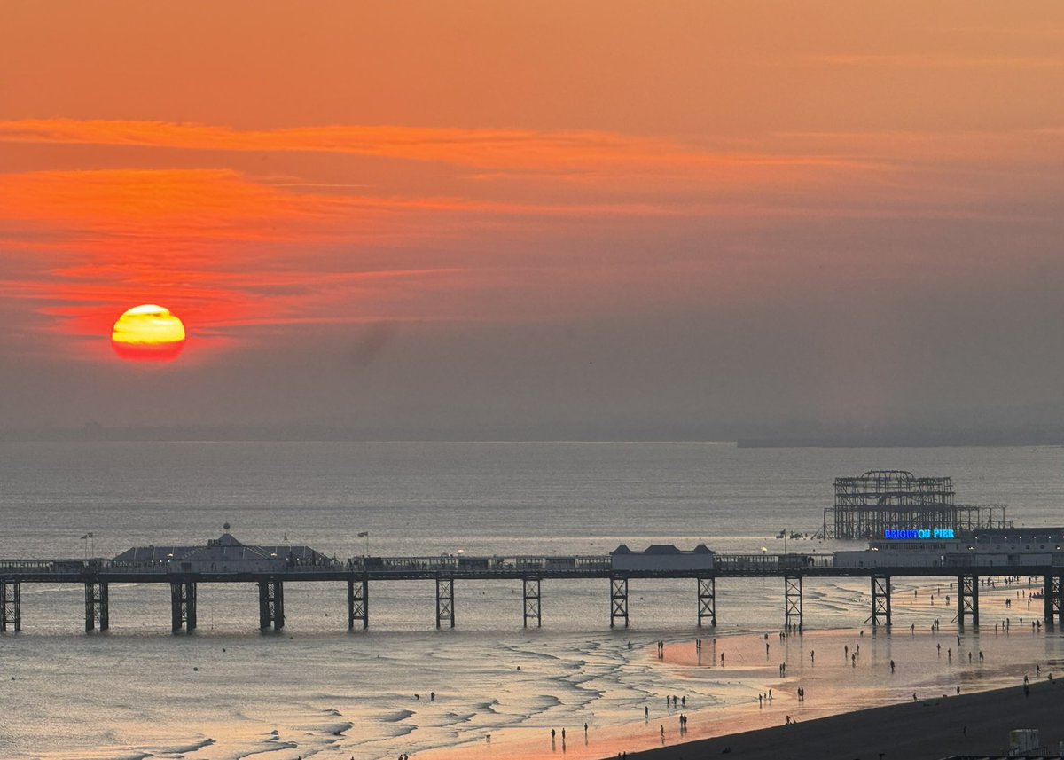 Toni Hall tweet media