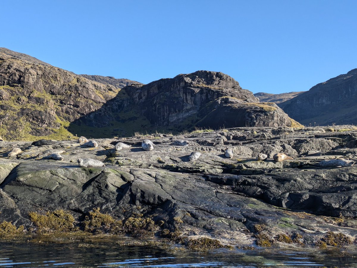 Earth Science Hull tweet media