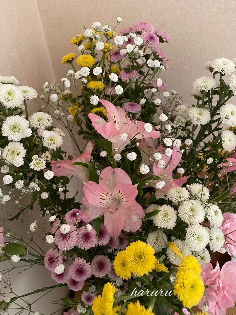 はる ❁⃘*. プロフ必読願います⸌⍤⃝専用ページ プロフ必読願います