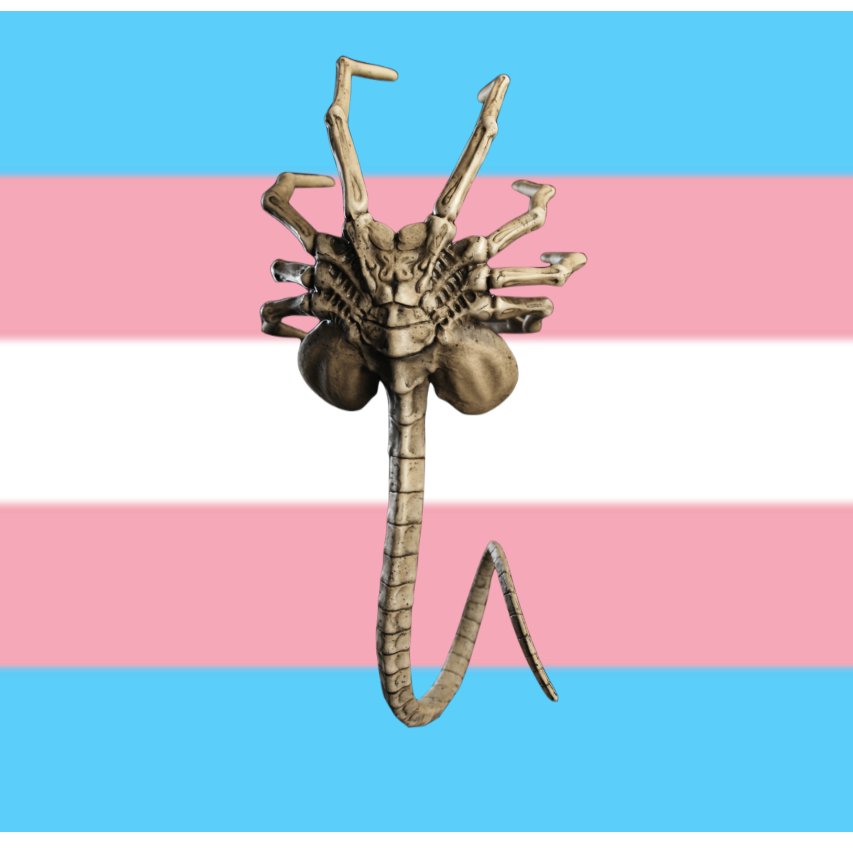 The Sucky One loves the trans community(almost as much as he loves deploying his spawn)!
