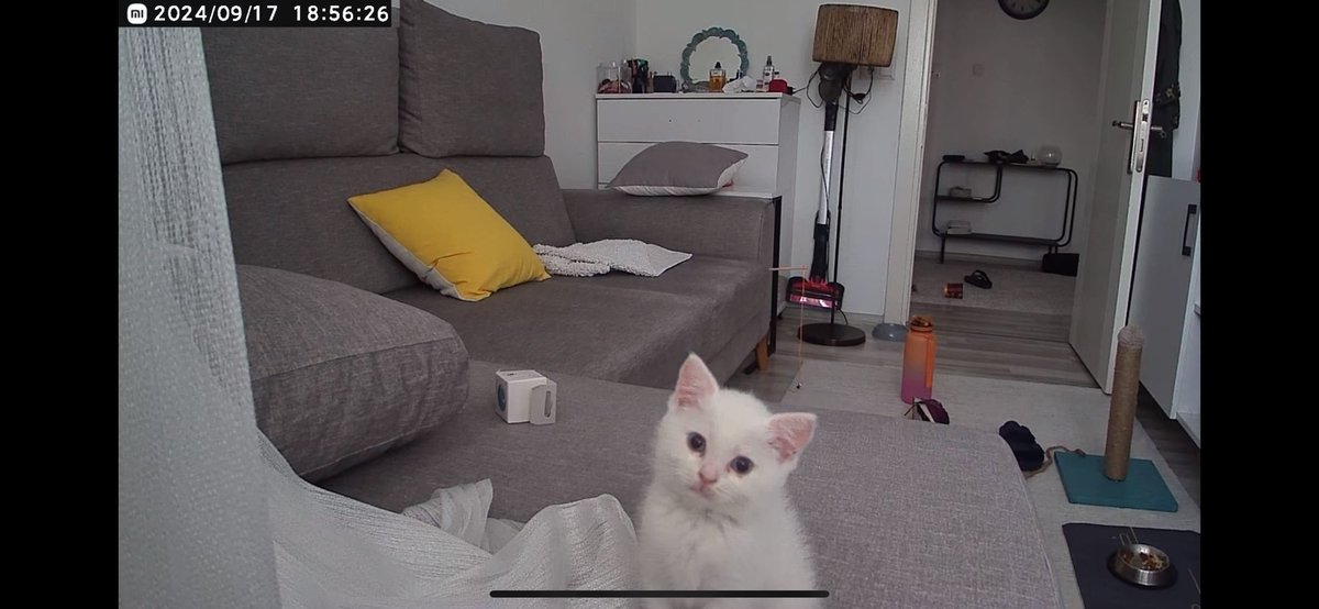 özlüyoruz diye kamera aldık, seslendiğimizde kameraya bakıyo ölüyorum allahım