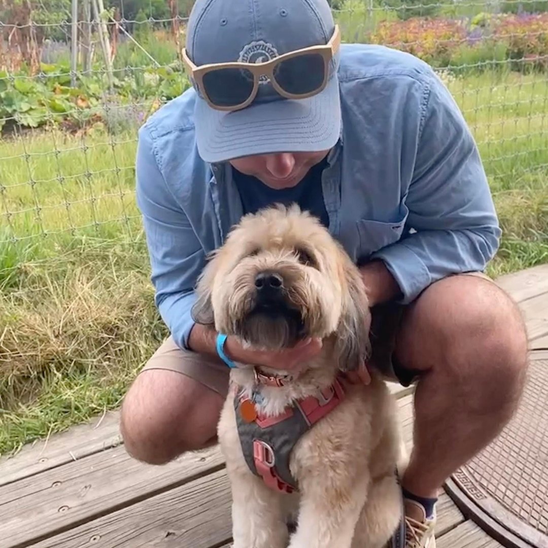 We’re excited to introduce our new Digital Advertising Manager, Jon DiMaio! He has an extensive background in paid media across a variety of channels. Outside of work, he enjoys walks with his dog Millie, traveling to try new restaurants, and summer trips to Nantucket.