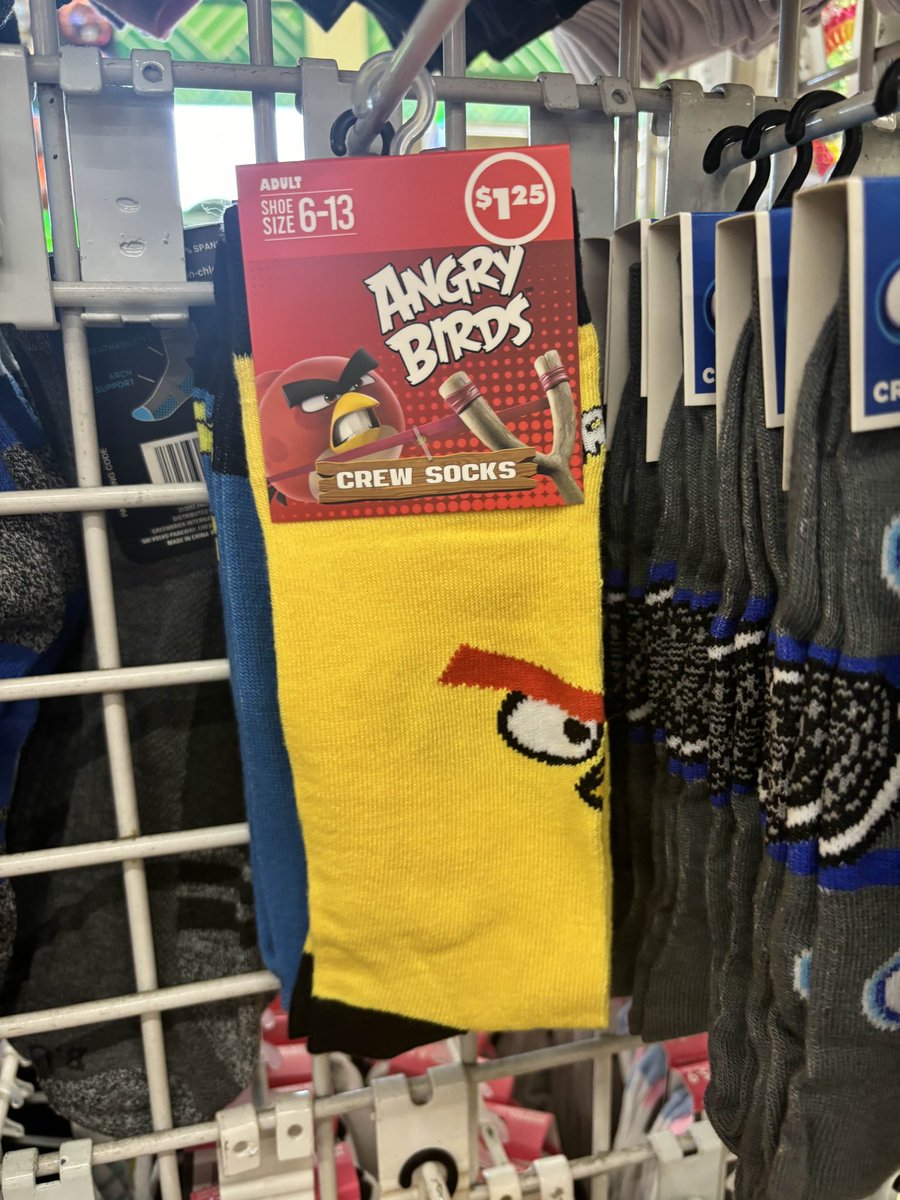 Fact: recently in Dollar Tree, Angry Birds SOCKS have appeared in stores. How peculiar!

Submitted by <a href="/TiffanyArtist56/">TIFFANY FISHER ARTIST</a>