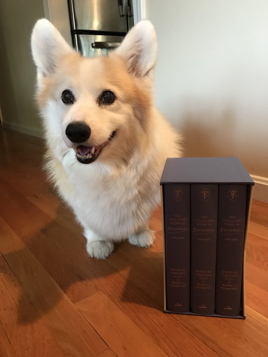 ...and among Tolkien fans and scholars everywhere, all other activities came to an abrupt halt...