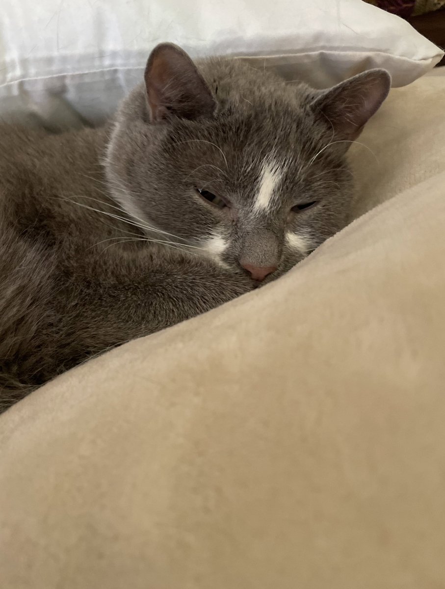 stinkyboyver's tweet photo. goobie snoobert https://t.co/86aIbwj27E