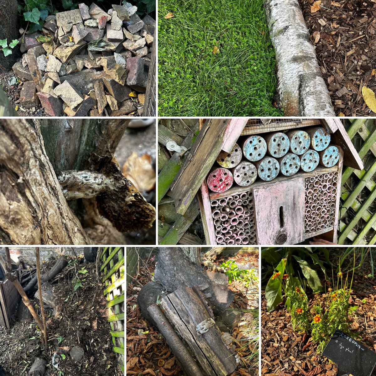 Nina Lovelace tweet media