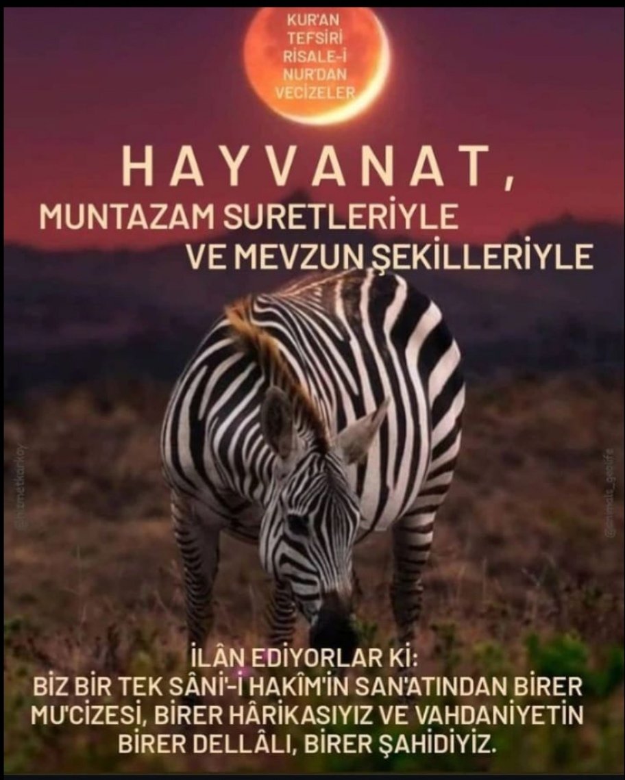 Teslime Köroğlu (@teslimekoroglu) on Twitter photo <a href="/Fatma14533446/">Her Şey Vatan İçin 🫵🇹🇷🫡</a> <a href="/Taskobaba/">Taskobaba</a> <a href="/MuhammedNazik3/">Muhammet Nazik</a> <a href="/Aselbastug_nl/">Canan Baştuğ Uslu 🇹🇷🤍🇳🇱</a> <a href="/alaattinsen52/">Alaattin Şen</a> <a href="/k12609327/">Allah'ın Kulu 🇹🇷🇵🇸🇹🇷</a> <a href="/mehmetg07/">Mehmet Gürkan🟢🇹🇷🇹🇷🇹🇷</a> @sosin_kusin <a href="/taskobaba55/">SamBay</a> <a href="/Filiz02437881/">@filiz🇹🇷🇦🇪🍉</a> <a href="/Emo_68/">Emrullah Aslan</a> <a href="/kartal1pen/">KARTAL 🦅 PENÇESİ</a> <a href="/SedatImamogl/">Sedad İmamoğlu</a> @AkkizOztas1 <a href="/BLC_1972/">BLC.</a> <a href="/adem_palabiyik/">Prof. Dr. Adem Palabıyık 🇹🇷</a> <a href="/filizatlihan/">Filiz Atlihan🇹🇷🇦🇿🇵🇰</a> <a href="/cemalgunal3/">cemal gunal</a> <a href="/_ebrucan_dadas/">Ebru Çetintürk</a> @Svm__Ce Cumamız Mübarek Olsun. 🇯🇴🇯🇴🇯🇴🇯🇴🤲🤲🤲🤘❤️🤘❤️#FreePalestine #GazzeStarving #DontForgeGaza
#GazzedeKatliamVar
Gazze'yi unutma unutturma 🇹🇷🇯🇴 <a href="/Fatma14533446/">Her Şey Vatan İçin 🫵🇹🇷🫡</a> <a href="/Taskobaba/">Taskobaba</a> <a href="/MuhammedNazik3/">Muhammet Nazik</a> <a href="/Aselbastug_nl/">Canan Baştuğ Uslu 🇹🇷🤍🇳🇱</a> <a href="/alaattinsen52/">Alaattin Şen</a> <a href="/k12609327/">Allah'ın Kulu 🇹🇷🇵🇸🇹🇷</a> <a href="/mehmetg07/">Mehmet Gürkan🟢🇹🇷🇹🇷🇹🇷</a> @sosin_kusin <a href="/taskobaba55/">SamBay</a> <a href="/Filiz02437881/">@filiz🇹🇷🇦🇪🍉</a> <a href="/Emo_68/">Emrullah Aslan</a> <a href="/kartal1pen/">KARTAL 🦅 PENÇESİ</a> <a href="/SedatImamogl/">Sedad İmamoğlu</a> @AkkizOztas1 <a href="/BLC_1972/">BLC.</a> <a href="/adem_palabiyik/">Prof. Dr. Adem Palabıyık 🇹🇷</a> <a href="/filizatlihan/">Filiz Atlihan🇹🇷🇦🇿🇵🇰</a> <a href="/cemalgunal3/">cemal gunal</a> <a href="/_ebrucan_dadas/">Ebru Çetintürk</a> @Svm__Ce Cumamız Mübarek Olsun. 🇯🇴🇯🇴🇯🇴🇯🇴🤲🤲🤲🤘❤️🤘❤️#FreePalestine #GazzeStarving #DontForgeGaza
#GazzedeKatliamVar
Gazze'yi unutma unutturma 🇹🇷🇯🇴