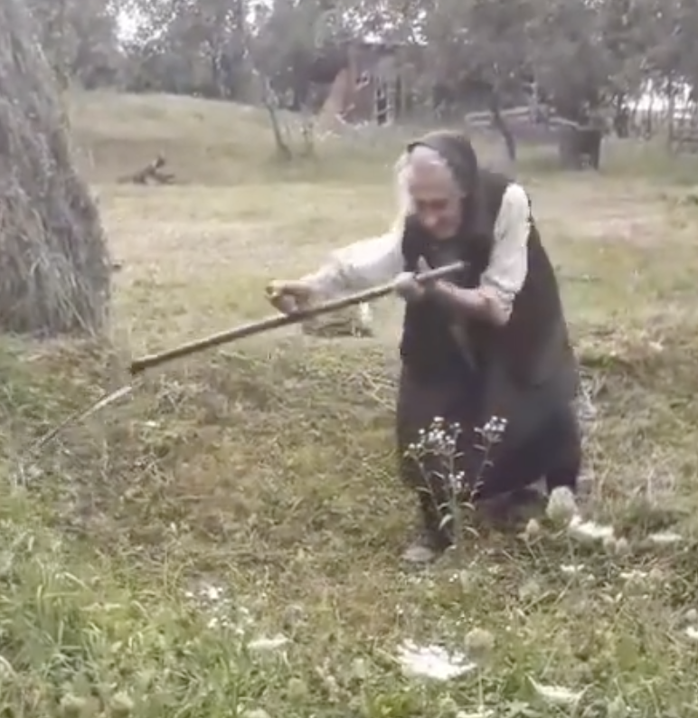 🫀𝔇 𝔦 𝔰 𝔪 𝔞 𝔯 𝔩 𝔲 𝔱 𝔱 𝔢 tweet media