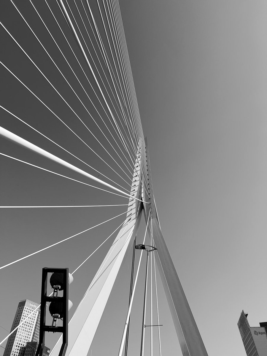 TP_1908's tweet image. Feyenoord - Bayer Leverkusen