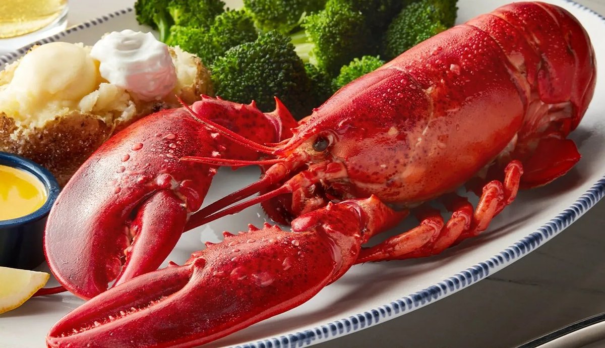 PopBase's tweet image. Red Lobster exits bankruptcy.