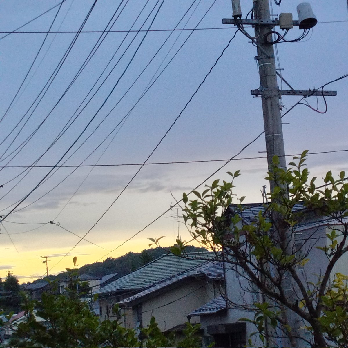 sakuradon's tweet photo. 晴れそうだけどー https://t.co/Q8nQhwXlMd