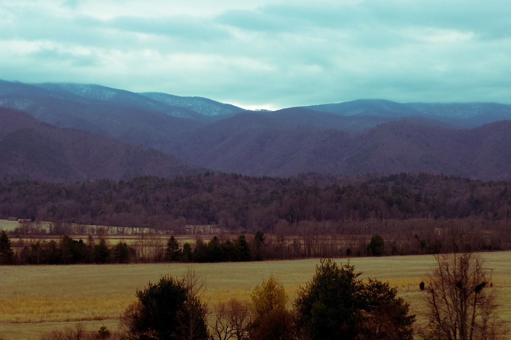 Appalachian Aesthetics tweet media