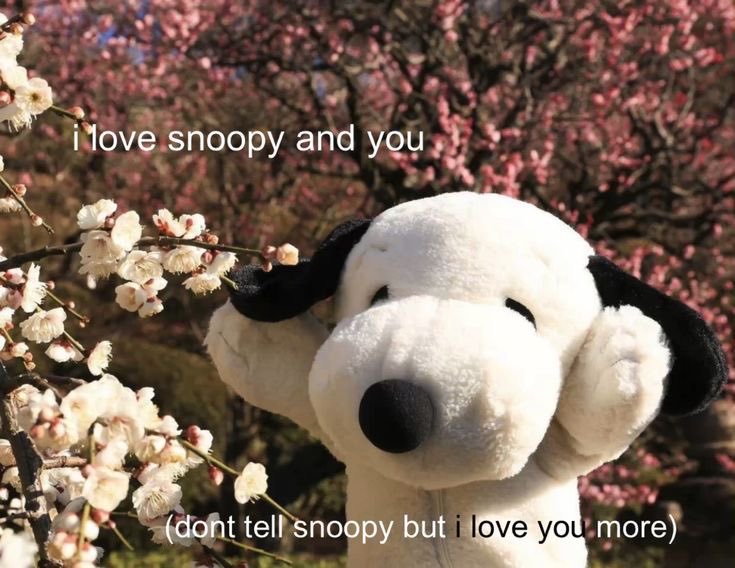 Daily Snoopy tweet media