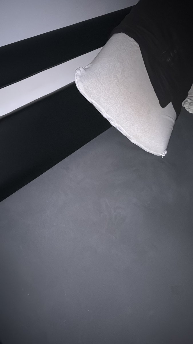 ZazaLover911 tweet media