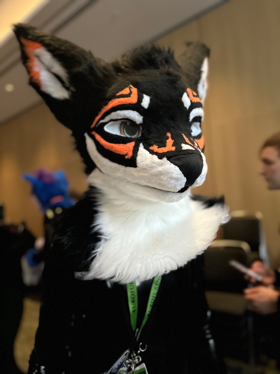 Rigel/ライジェル the Sorcerer 🔜 Thaitails🇹🇭 tweet media