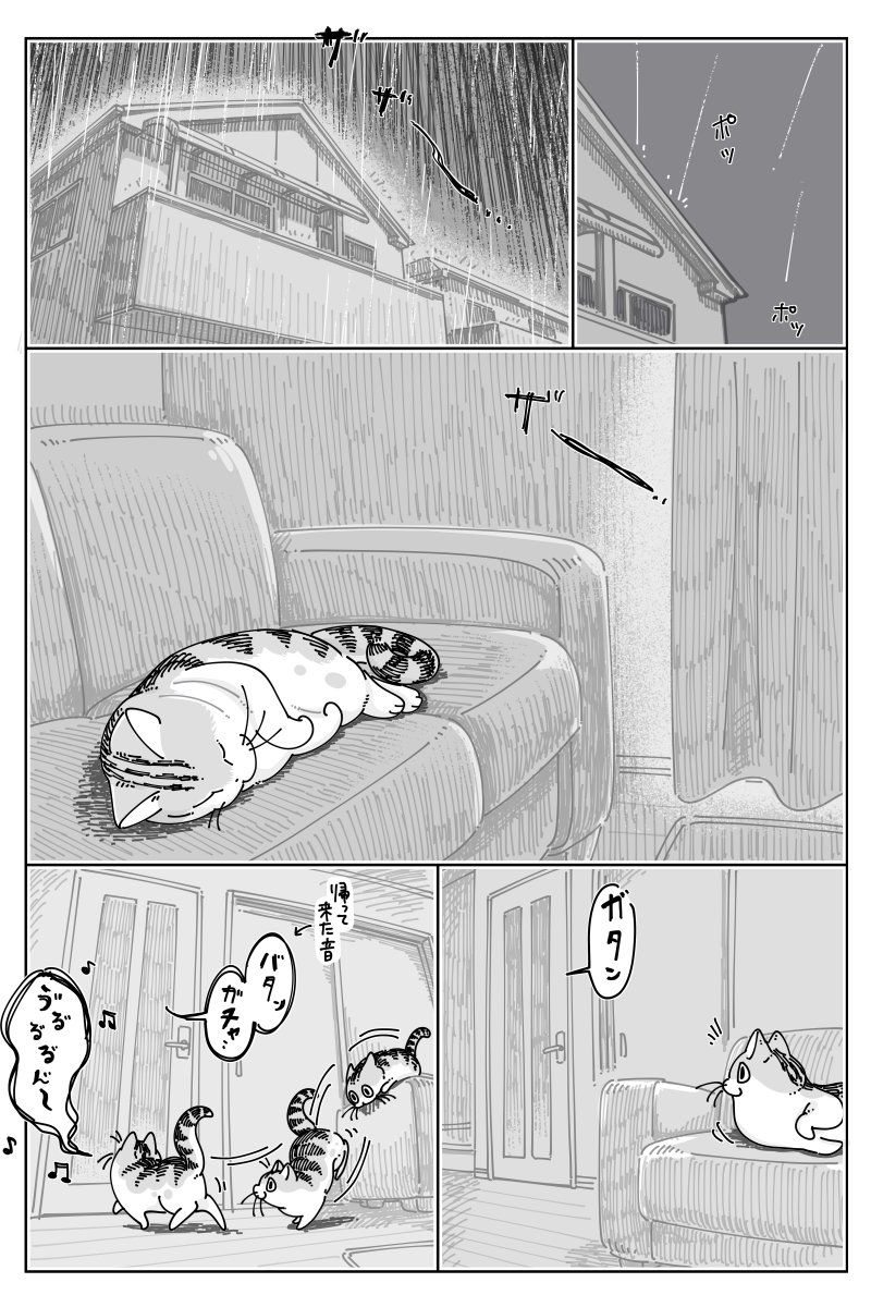 キュルZ tweet media