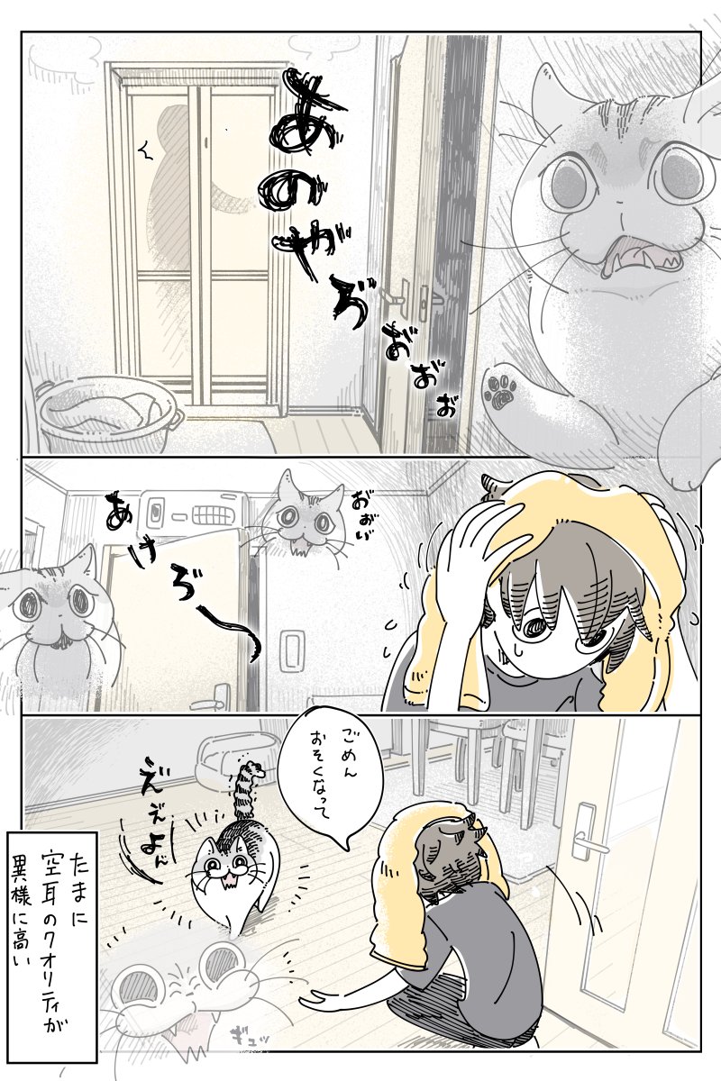 キュルZ tweet media