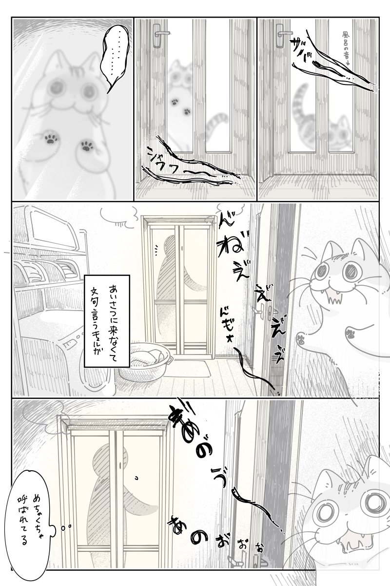 キュルZ tweet media