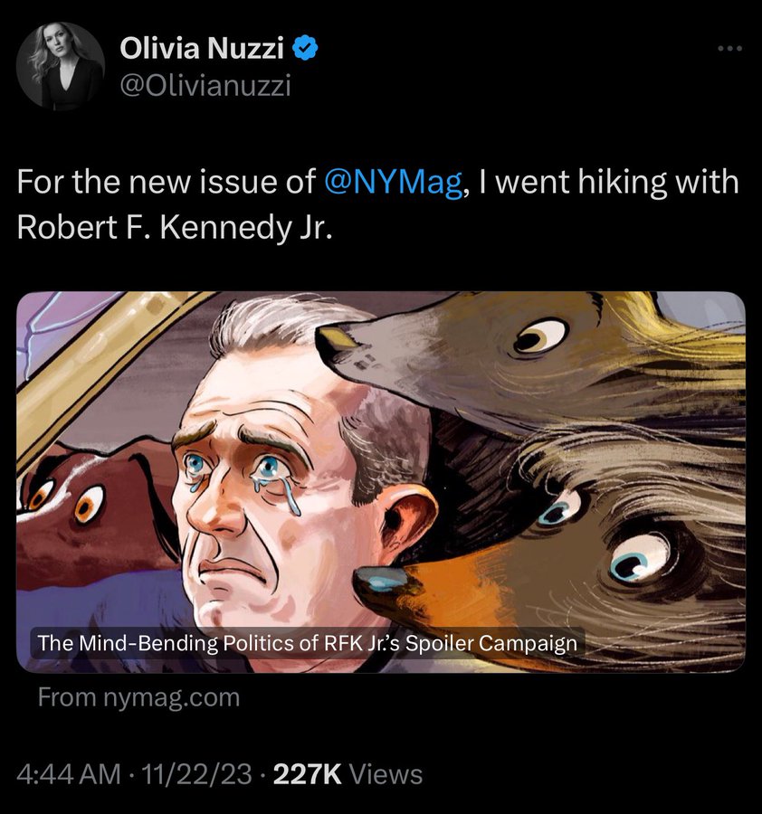 TheBallOutNews's tweet image. .@Olivianuzzi sure KEPT A LOT OFF-THE-RECORD #FakeReporter #OliviaNuzzi #RFKJr #nymag