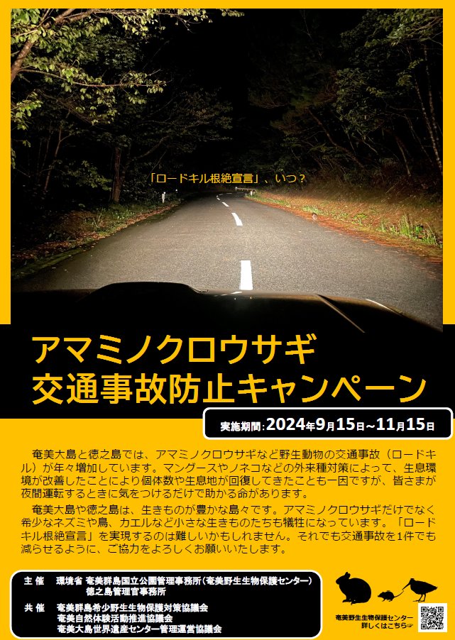amamioshimawhcc's tweet image. アマミノクロウサギ交通事故防止キャンペーンの一環として、リポストキャンペーンを実施中！
この投稿をリポストしていただいた方へ、オリジナルポストカードを1枚プレゼント。
リポストした画面をカウンターの職員へご提示ください。
野生動物の交通事故防止に、みなさまのご協力をお願いします。