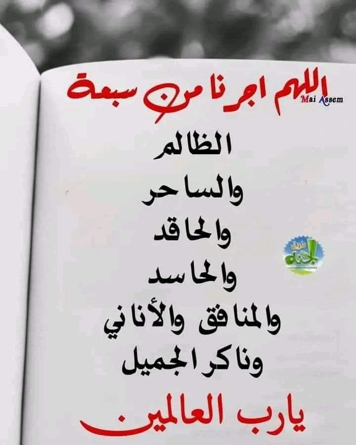 ربـنـا يـبعــدهـم عـنـنـا
   ويـكـفيـنا شـرهـم