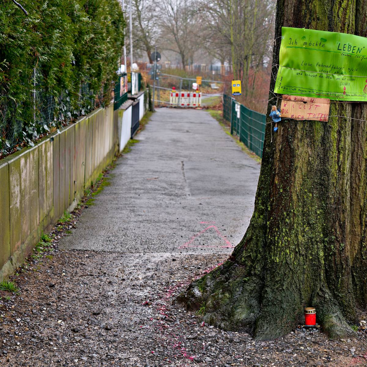 Baum auf Radweg dlvr.it/TDSKtV